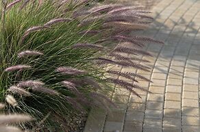 Kosmitis Suites & Villas