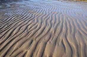 Seascape Largo