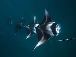 The Nautilus Maldives