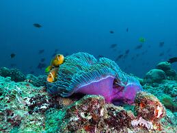 The Nautilus Maldives
