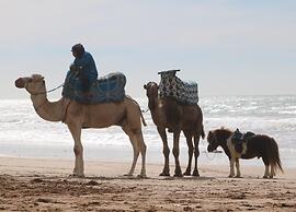 Azul Guest House Taghazout Bay - Hostel