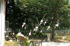 CRJS et Auberge de Jeunesse - Hostel