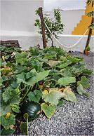 B&B Buenavista del Norte