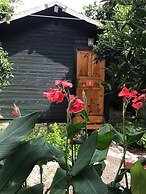 Olympos Tatilya Pansiyon