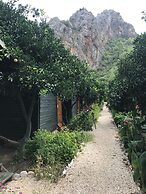 Olympos Tatilya Pansiyon