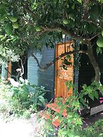 Olympos Tatilya Pansiyon