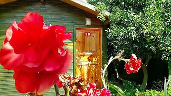 Olympos Tatilya Pansiyon