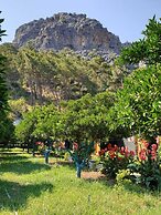 Olympos Tatilya Pansiyon