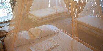 Hotel La Barca De Oro - Hostel