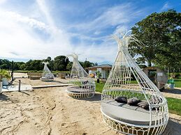 Aqua by American Beech - Adults Only
