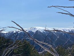 Feathertop Alpine Lodge