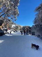 Feathertop Alpine Lodge
