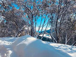 Feathertop Alpine Lodge