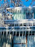 Feathertop Alpine Lodge