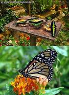 Sleepbox Hotel - Hostel