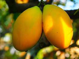 Aiyara Garden Resort