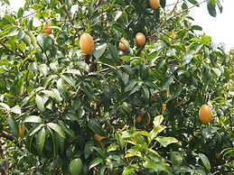 Aiyara Garden Resort