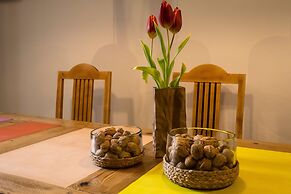 Ecocirer Healthy Stay