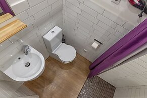 RentalSPb 4 City bridge