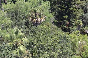 Botanic Views Guest House