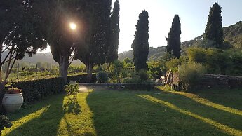 Il Nido del Falco B&B