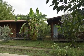Serenity Bungalows