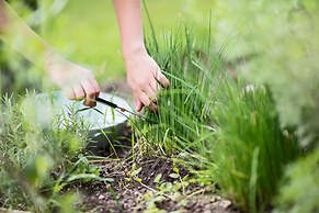 Boutique Hotel Zum Oberjäger