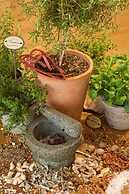 Allgäuer Kräuteralm