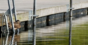 Rösjöbaden Camping &  Stugby