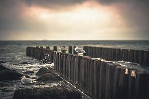 Beachfront Boutiquehotel