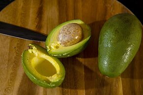 Jenny's Summer Houses