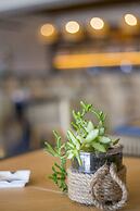 Jenny's Summer Houses