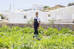 Jenny's Summer Houses