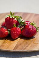 Jenny's Summer Houses