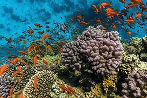 The Cascades Golf Resort Spa and Thalasso