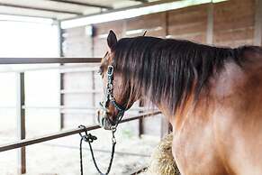 Agriturismo Bio Podere Doganelle