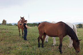 Agriturismo Bio Podere Doganelle
