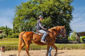 Agriturismo Bio Podere Doganelle