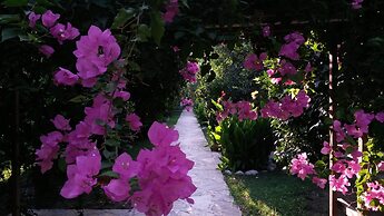 Hotel Yavuz Bungalow