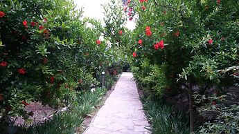 Hotel Yavuz Bungalow