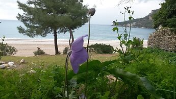 Hotel Yavuz Bungalow