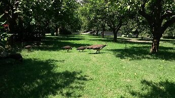 Hotel Yavuz Bungalow