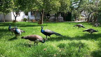 Hotel Yavuz Bungalow