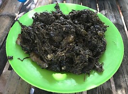 RMTM's Beachfront Accommodation