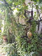 Casa Rural El Sueño de Lucrecia