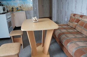 Hotel in Apartment Irkutsk