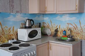 Hotel in Apartment Irkutsk