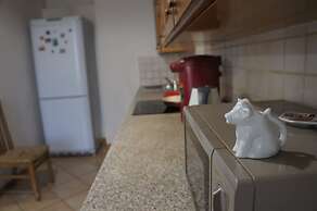 Hotel in Apartment Irkutsk