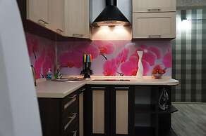 Hotel in Apartment Irkutsk