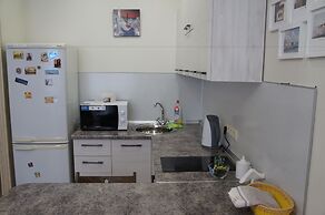 Hotel in Apartment Irkutsk